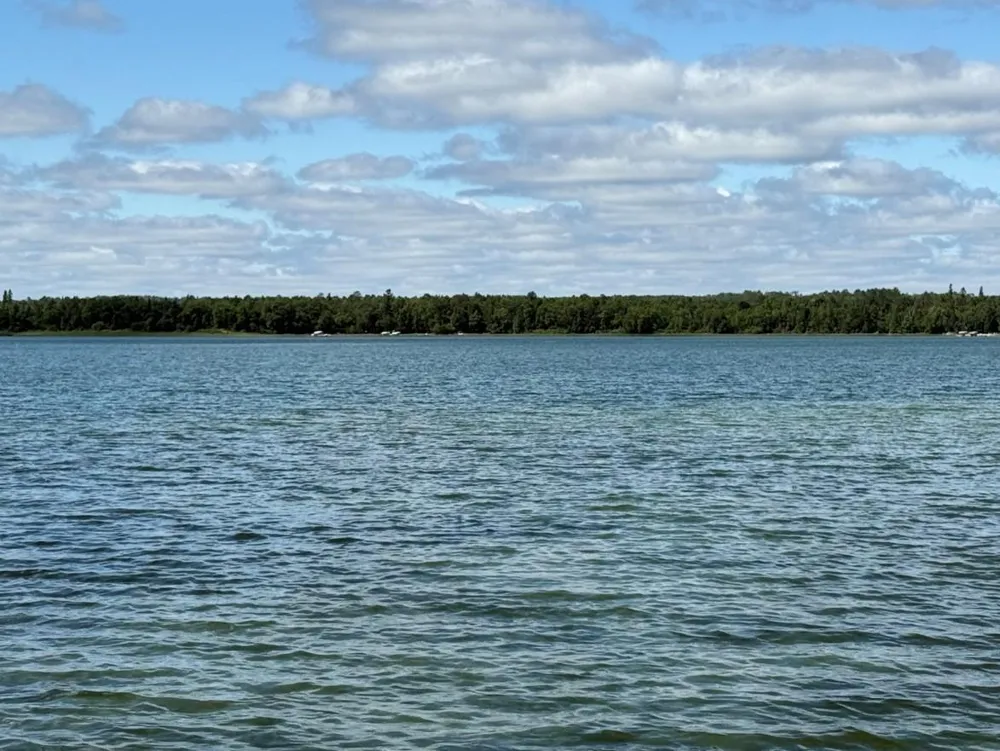 28393 County 93 Laporte, MN 56461