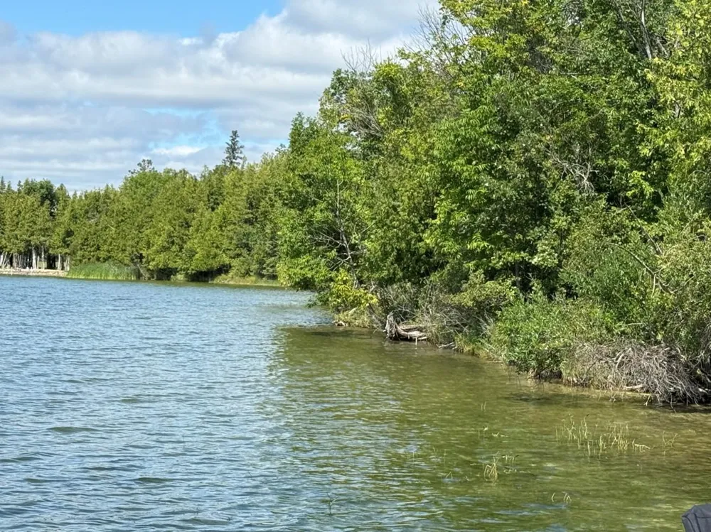 28393 County 93 Laporte, MN 56461