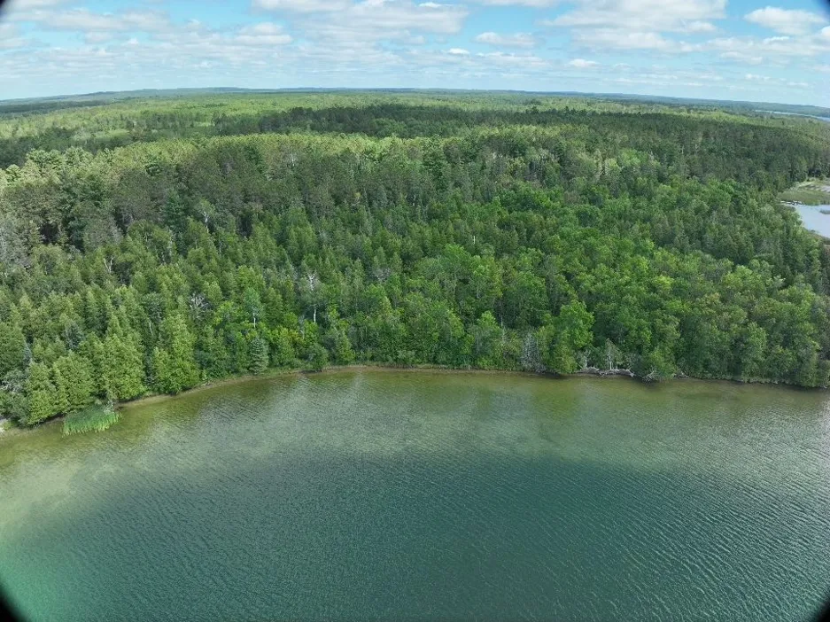 28393 County 93 Laporte, MN 56461