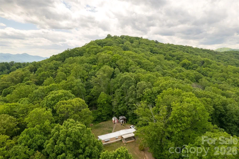 30 Gertrude Lane Candler, NC 28715