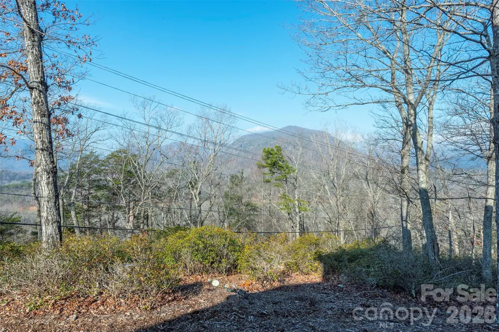 192 Buzzards Place Lake Lure, NC 28746