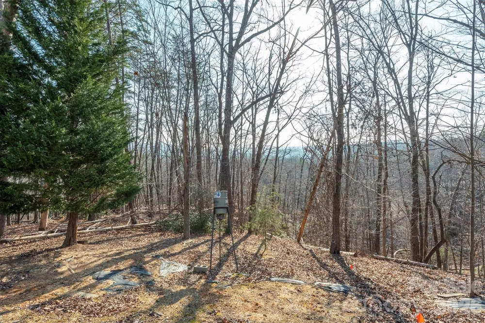 192 Buzzards Place Lake Lure, NC 28746