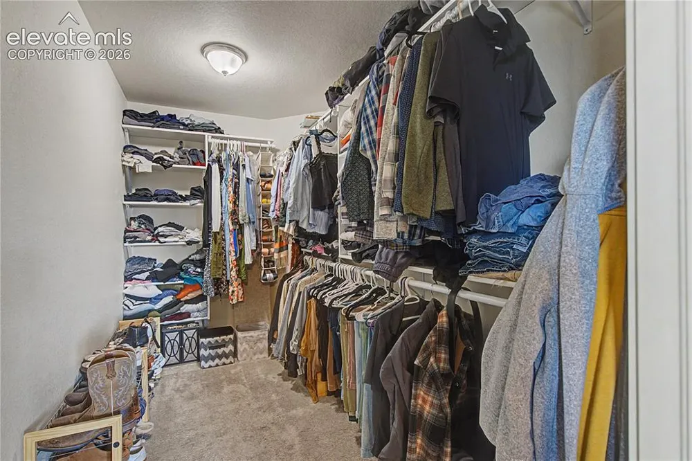 859 Circle Road Palmer Lake, CO 80133