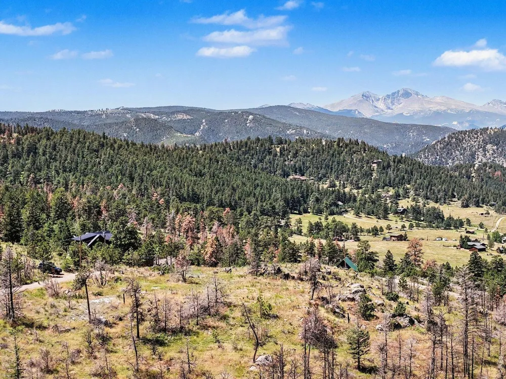 1045 Palisade Mountain Drive Drake, CO 80515