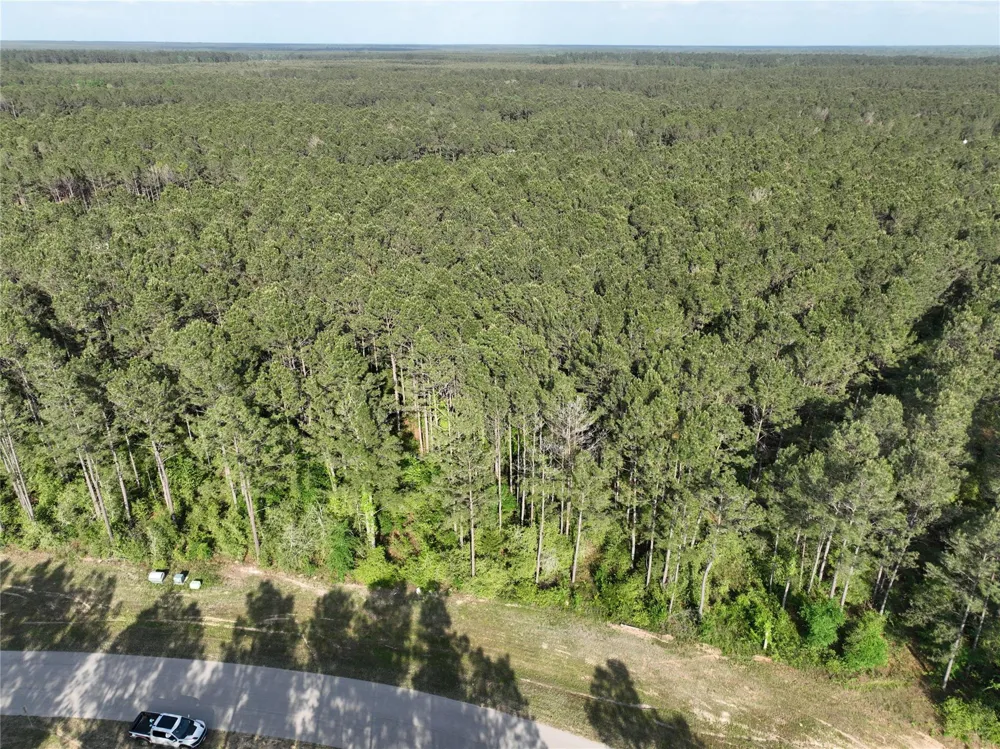 15750 Wooded Trail Way Willis, TX 77378
