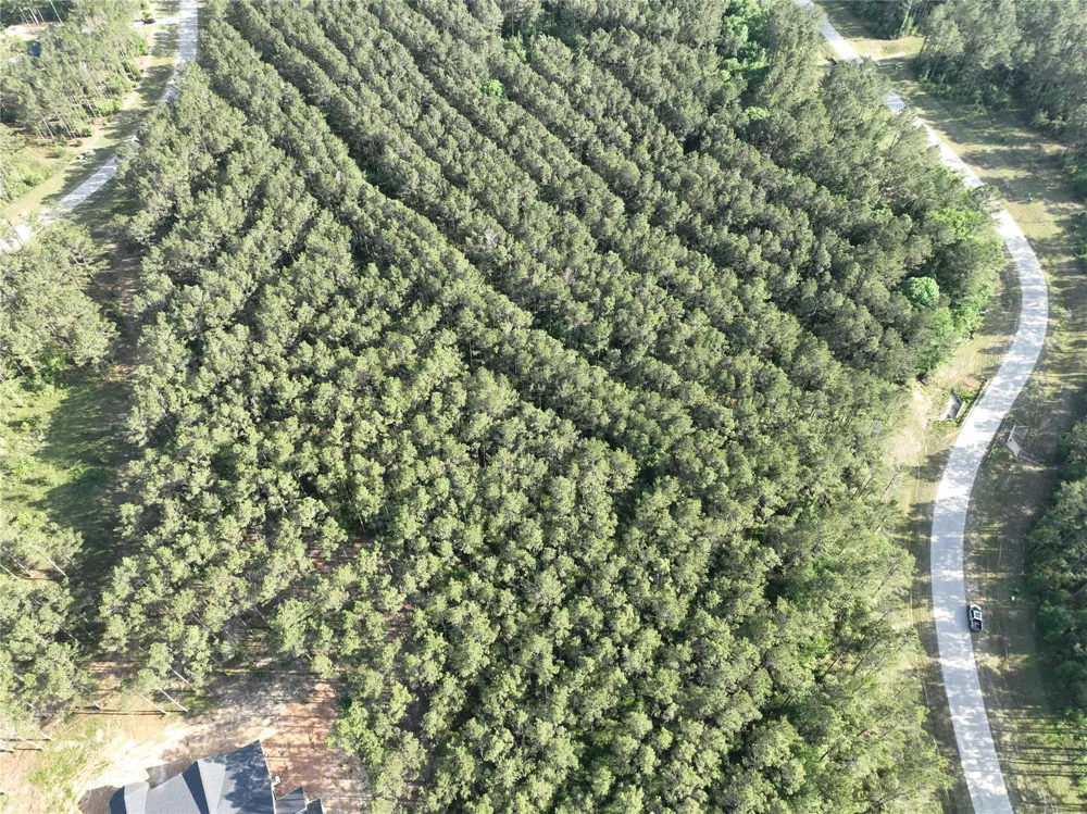 15750 Wooded Trail Way Willis, TX 77378