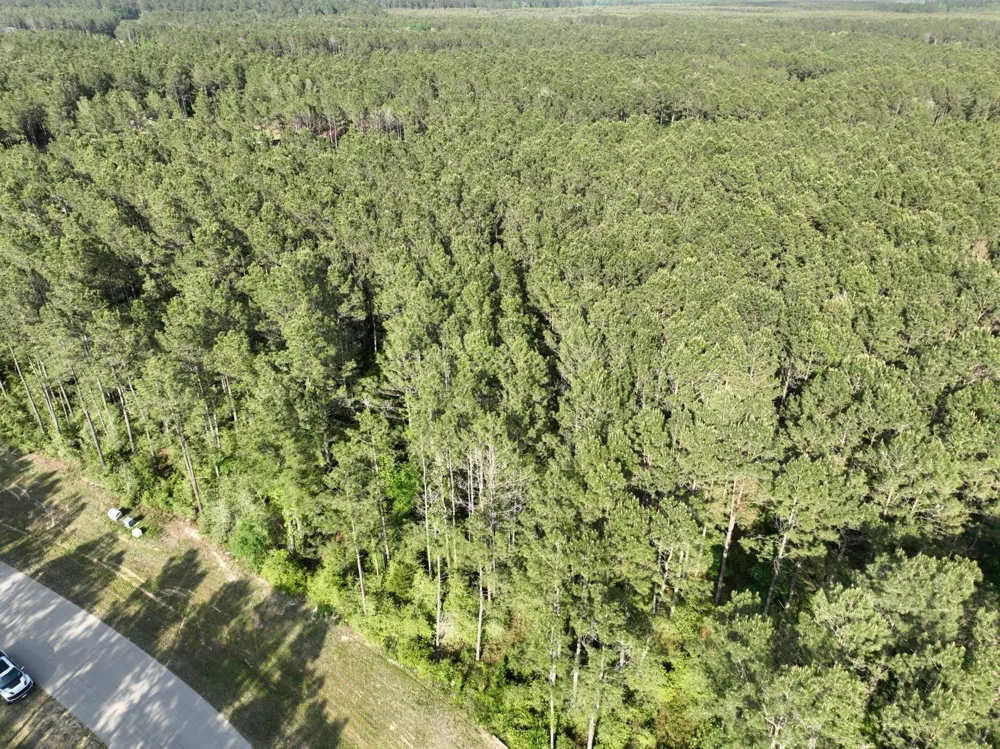 15750 Wooded Trail Way Willis, TX 77378