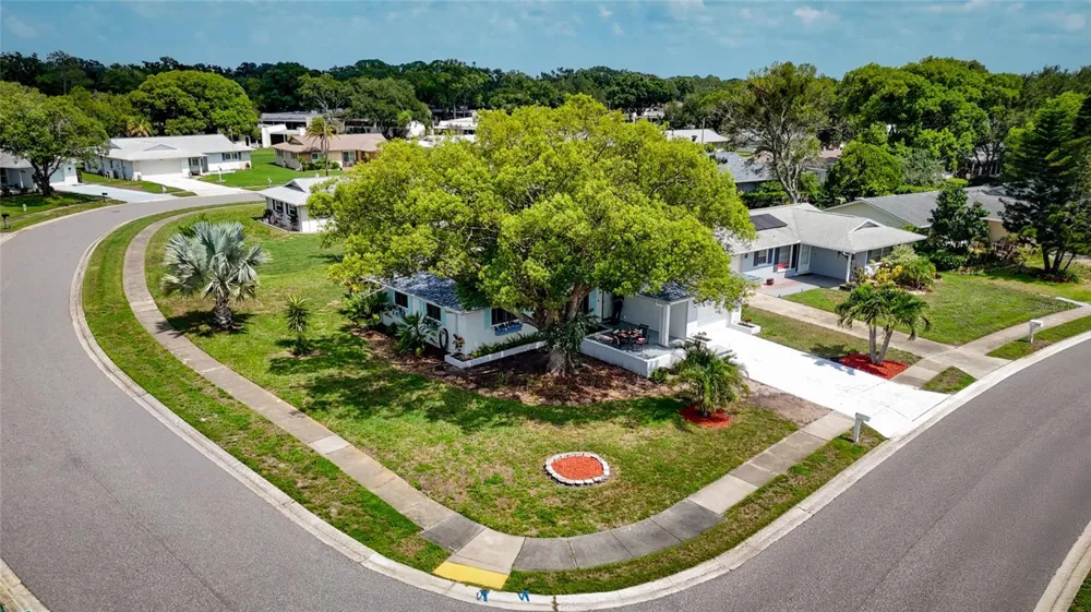 1496 QUEEN ANNE DRIVE Palm Harbor, FL 34684