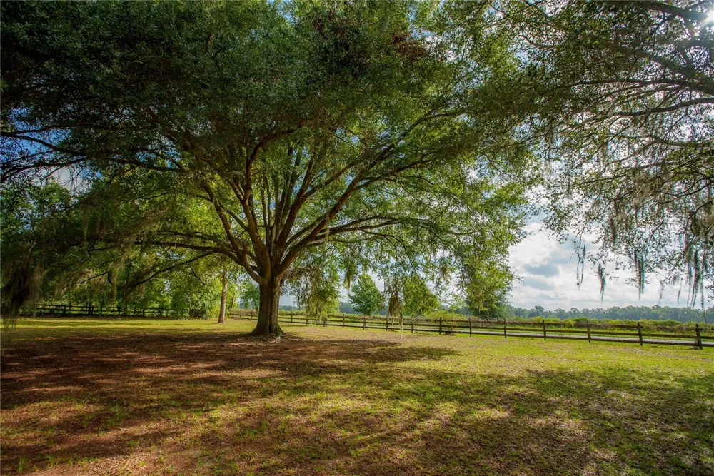 25518 NW COUNTY ROAD 241 Alachua, FL 32615