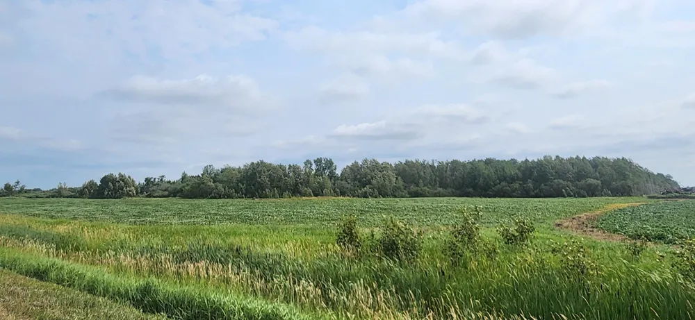 TBD 330th Avenue NE Goodridge, MN 56725