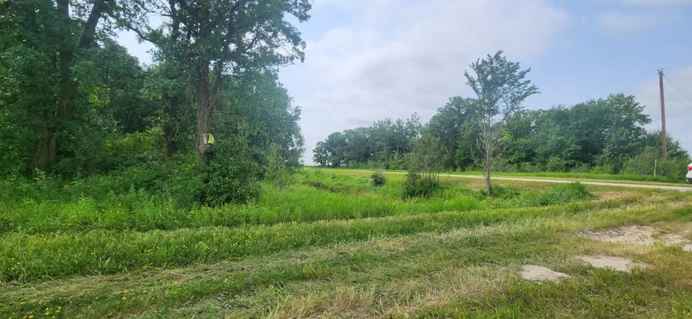 TBD 330th Avenue NE Goodridge, MN 56725