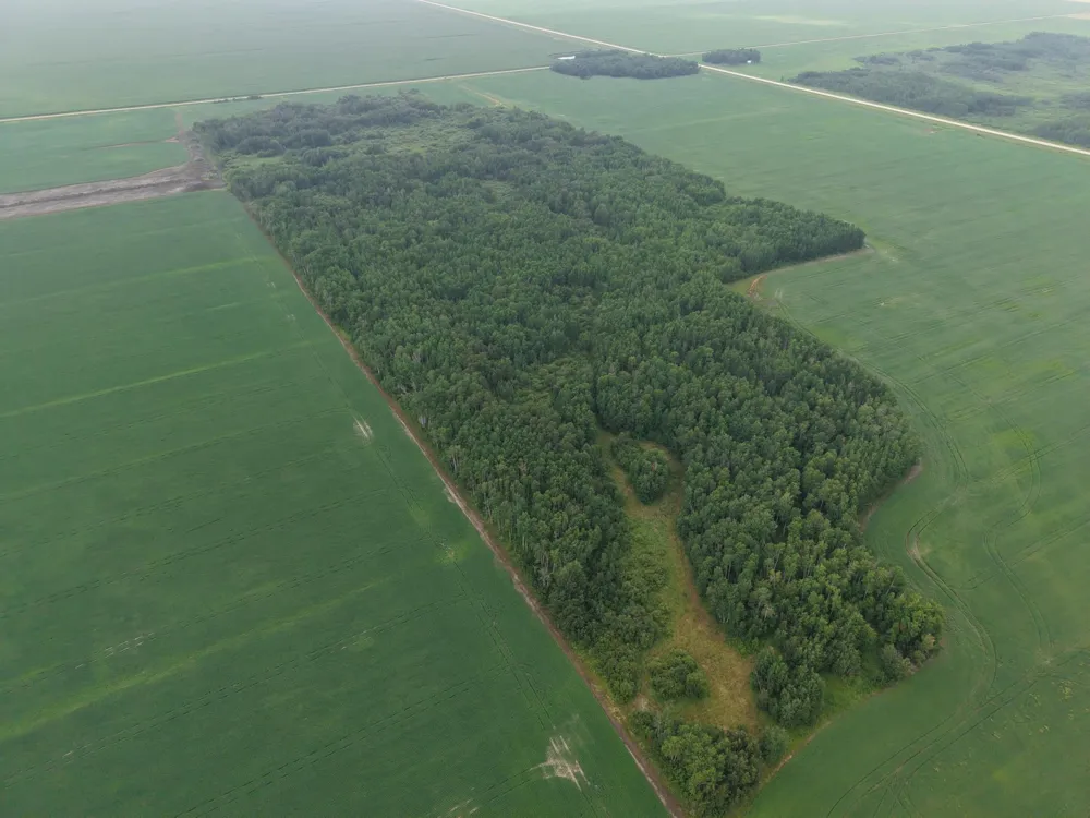TBD 330th Avenue NE Goodridge, MN 56725