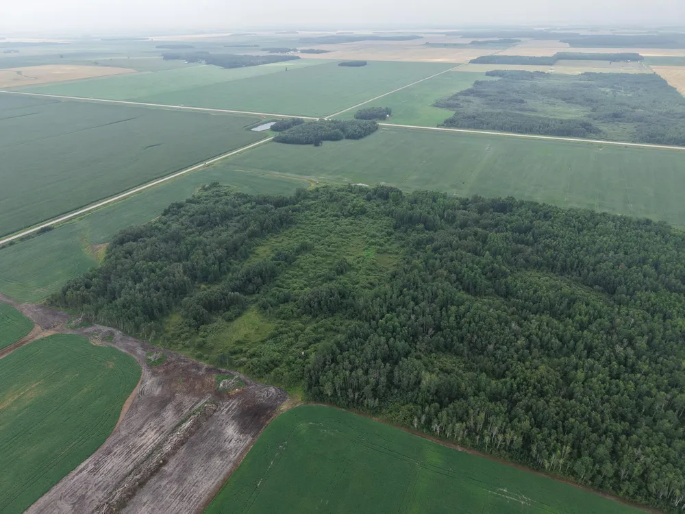 TBD 330th Avenue NE Goodridge, MN 56725