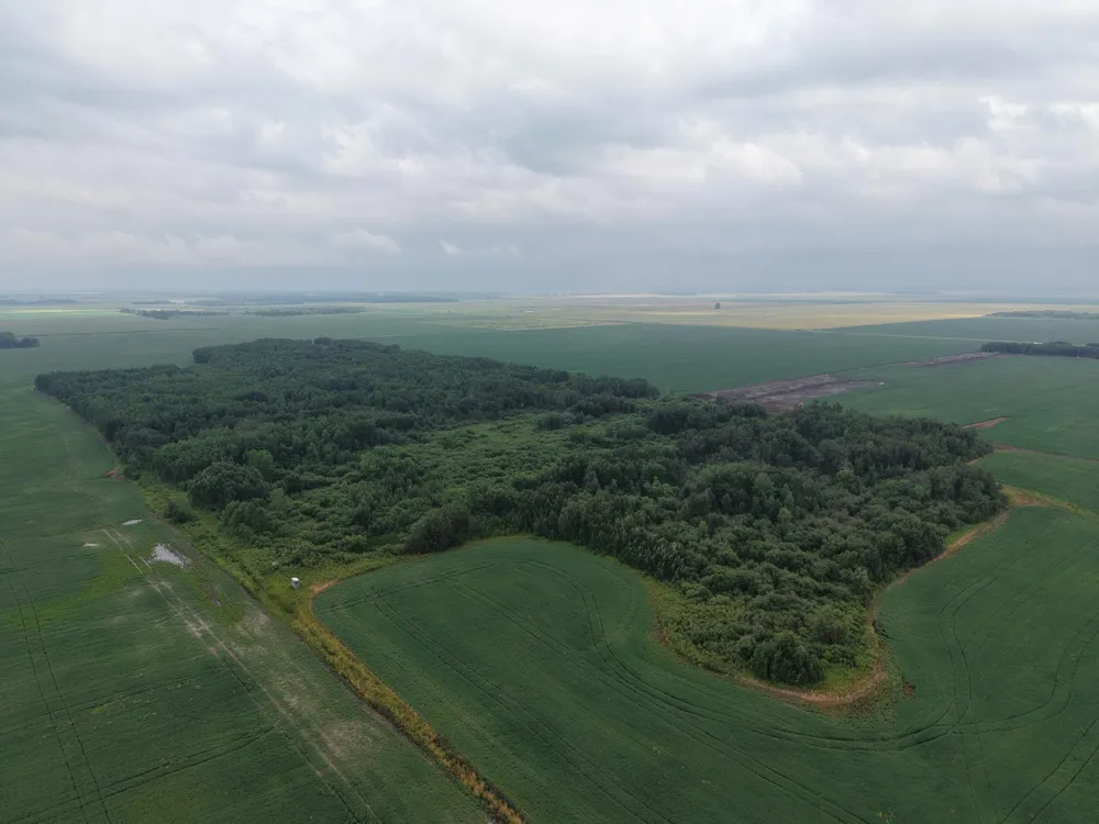TBD 330th Avenue NE Goodridge, MN 56725