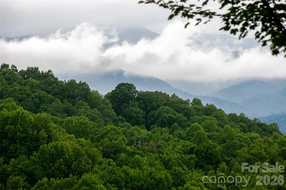264 Tinequa Drive Brevard, NC 28712