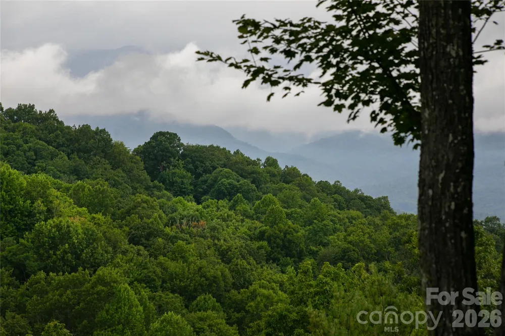 264 Tinequa Drive Brevard, NC 28712