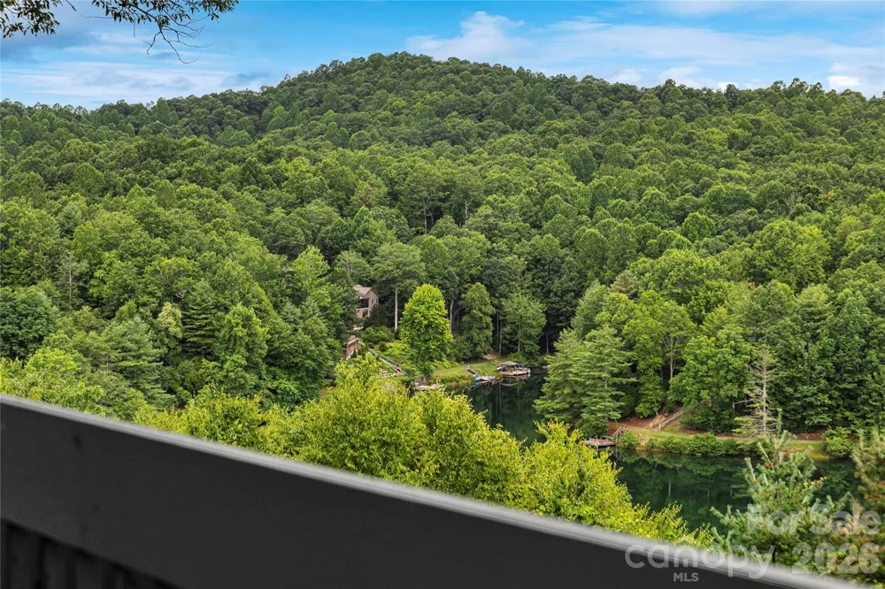 264 Tinequa Drive Brevard, NC 28712