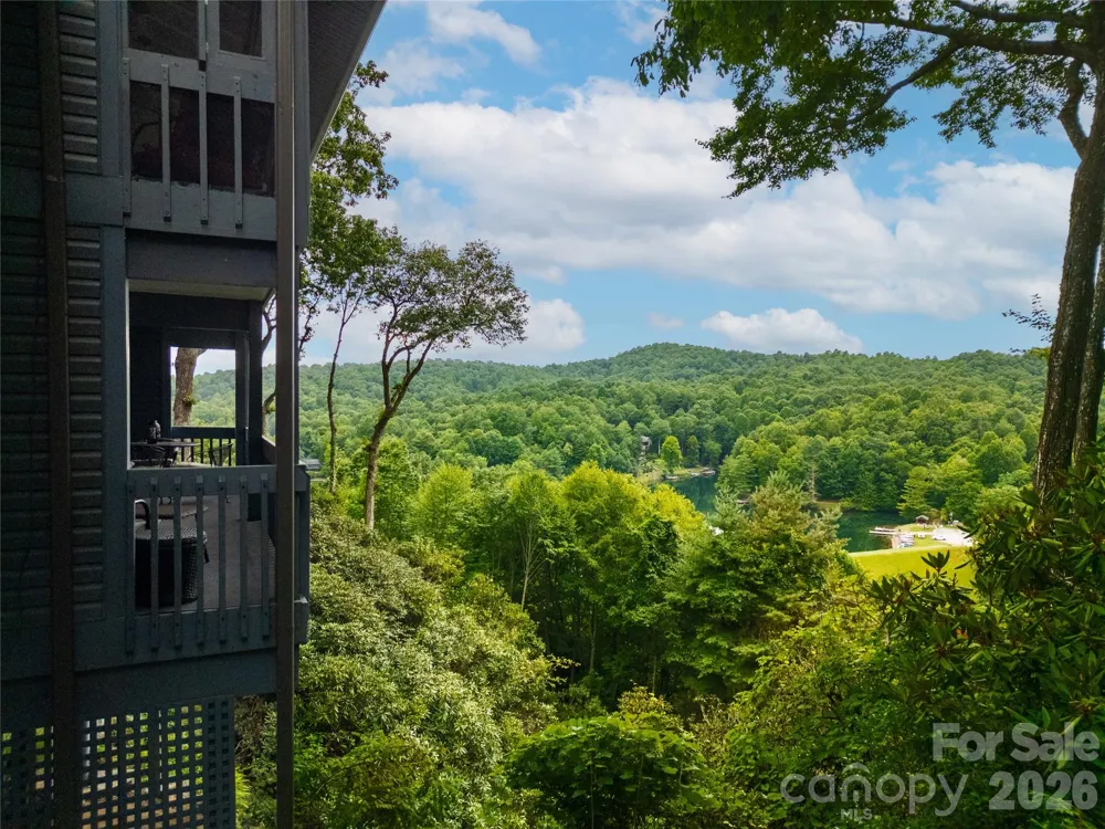 264 Tinequa Drive Brevard, NC 28712