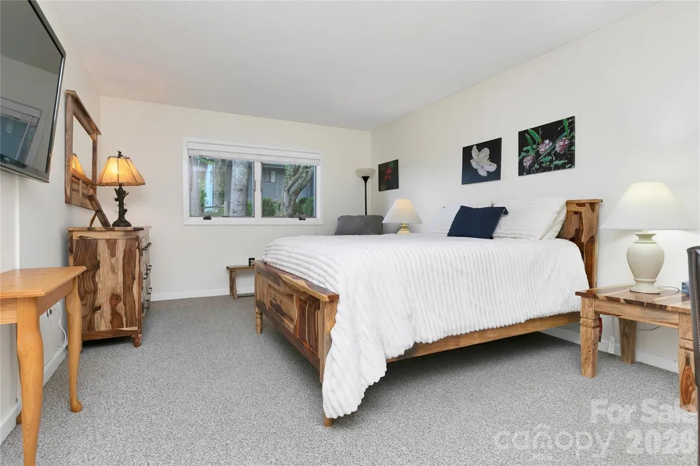 264 Tinequa Drive Brevard, NC 28712