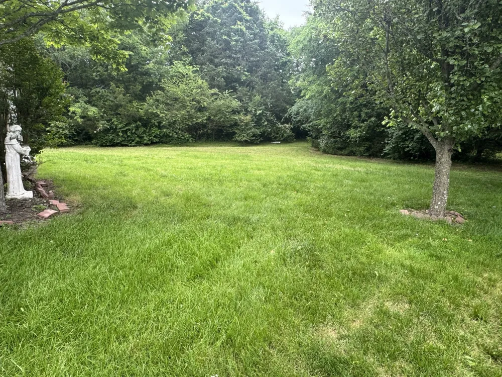 1856 Erlinger Drive Nolensville, TN 37135