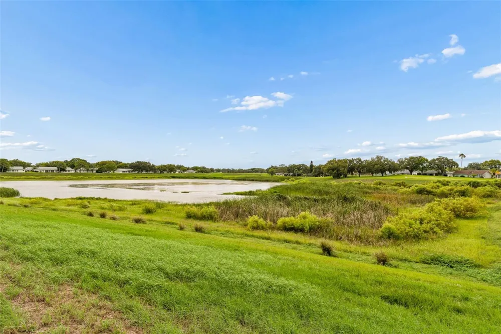 11110 CARRIAGE HILL DRIVE #5 Port Richey, FL 34668