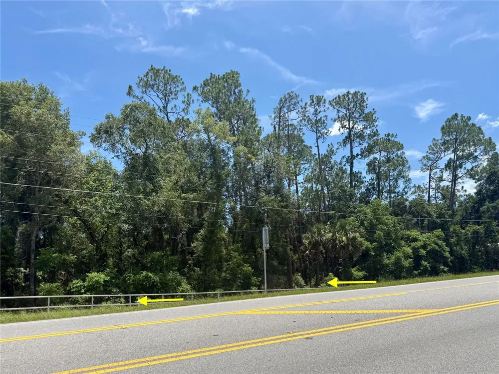 LOT 14 STATE ROAD 44 Eustis, FL 32726