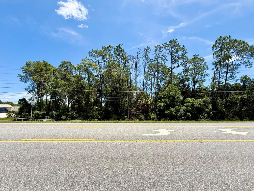 LOT 14 STATE ROAD 44 Eustis, FL 32726