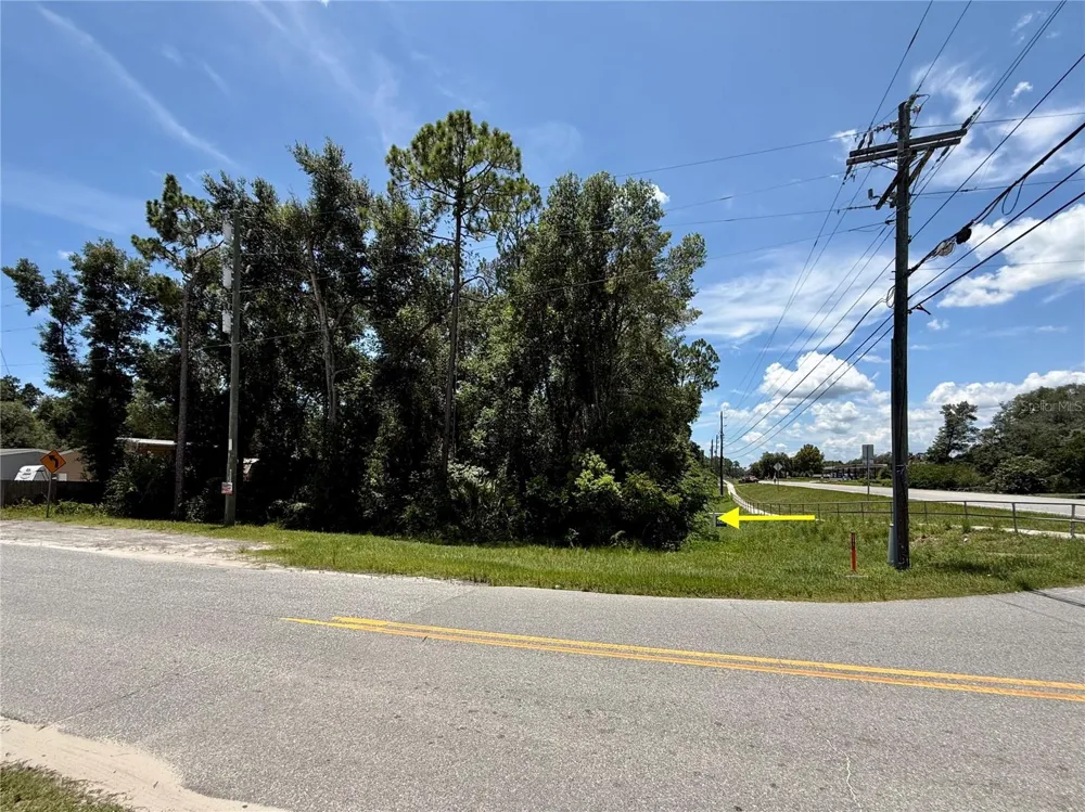 LOT 14 STATE ROAD 44 Eustis, FL 32726