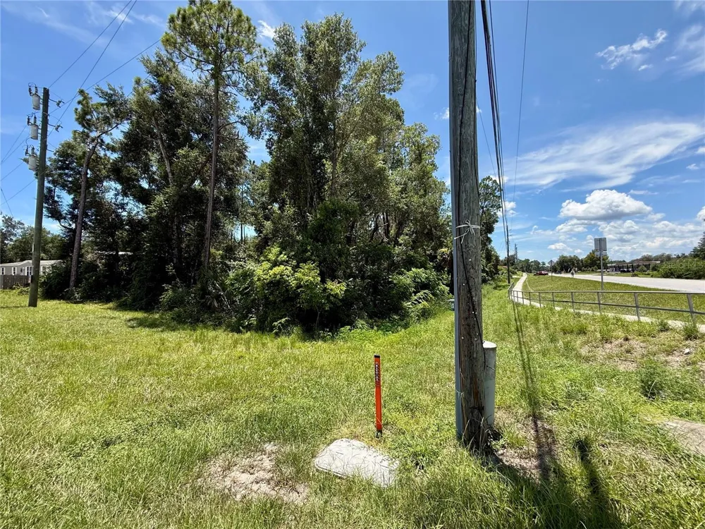 LOT 14 STATE ROAD 44 Eustis, FL 32726