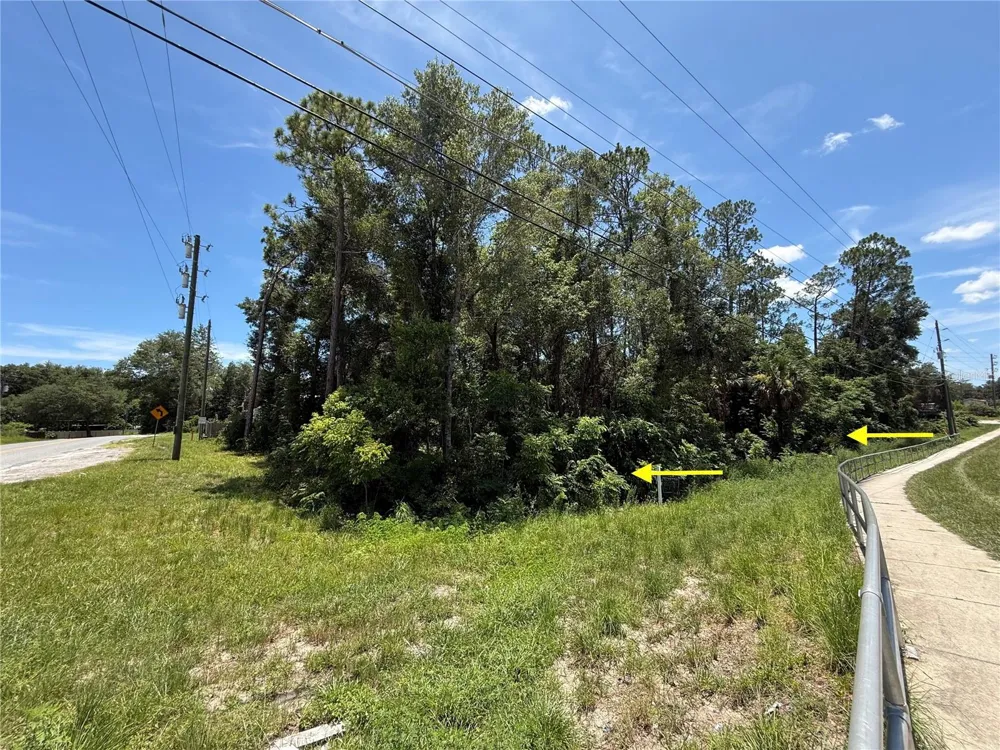 LOT 14 STATE ROAD 44 Eustis, FL 32726