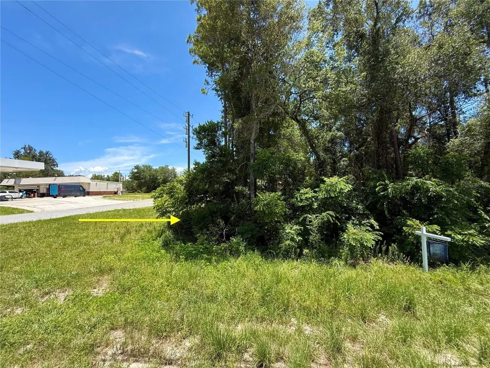 LOT 14 STATE ROAD 44 Eustis, FL 32726