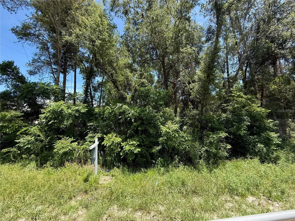 LOT 14 STATE ROAD 44 Eustis, FL 32726