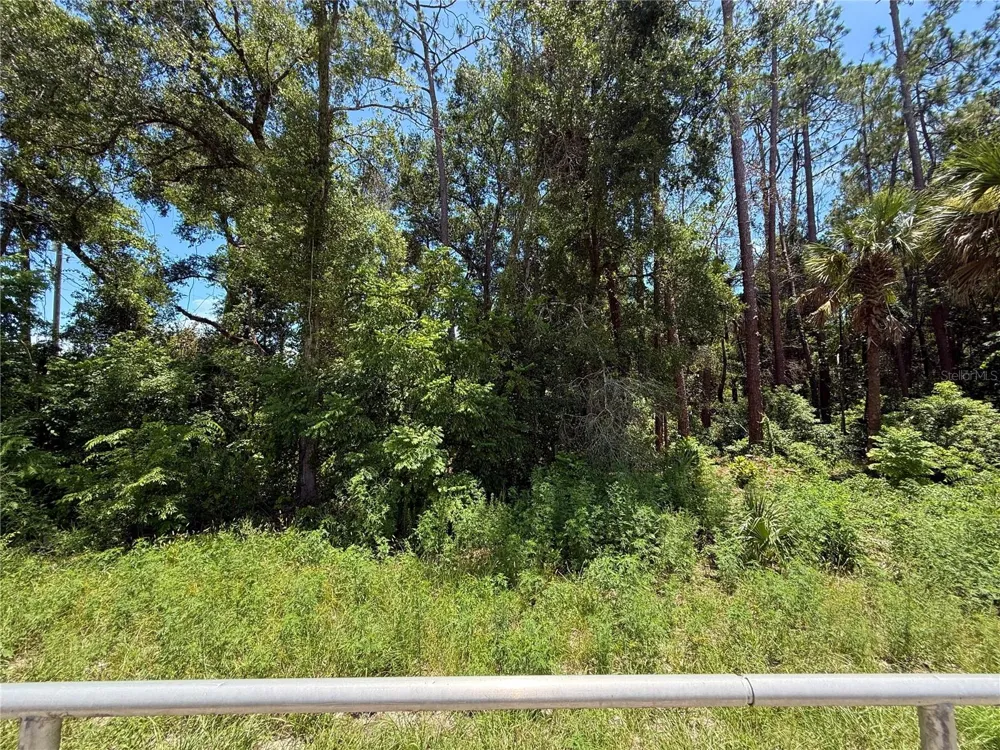 LOT 14 STATE ROAD 44 Eustis, FL 32726