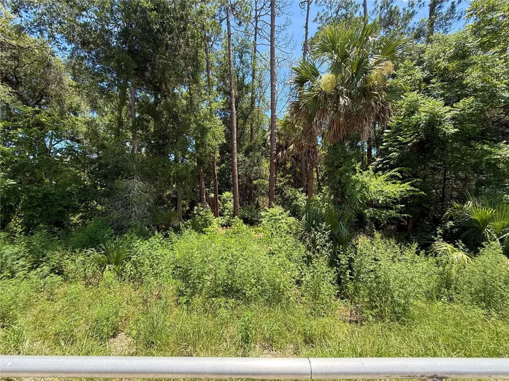 LOT 14 STATE ROAD 44 Eustis, FL 32726