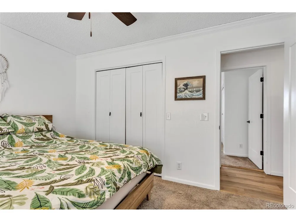 255 Divide View Drive Golden, CO 80403