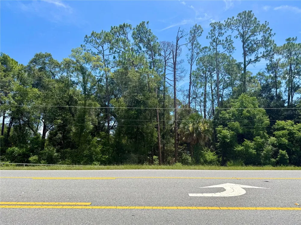 LOT 13 STATE ROAD 44 Eustis, FL 32726