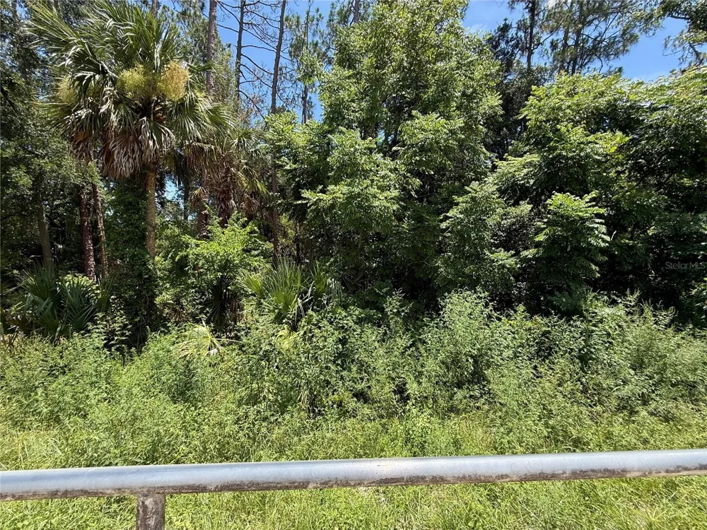 LOT 13 STATE ROAD 44 Eustis, FL 32726
