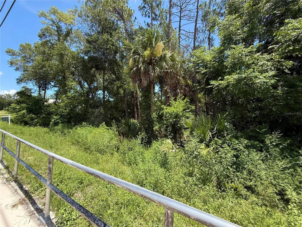 LOT 13 STATE ROAD 44 Eustis, FL 32726