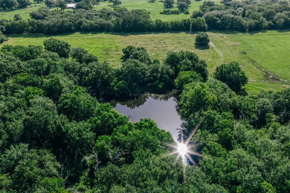 10671 Hidalgo Falls Rd Washington, TX 77880