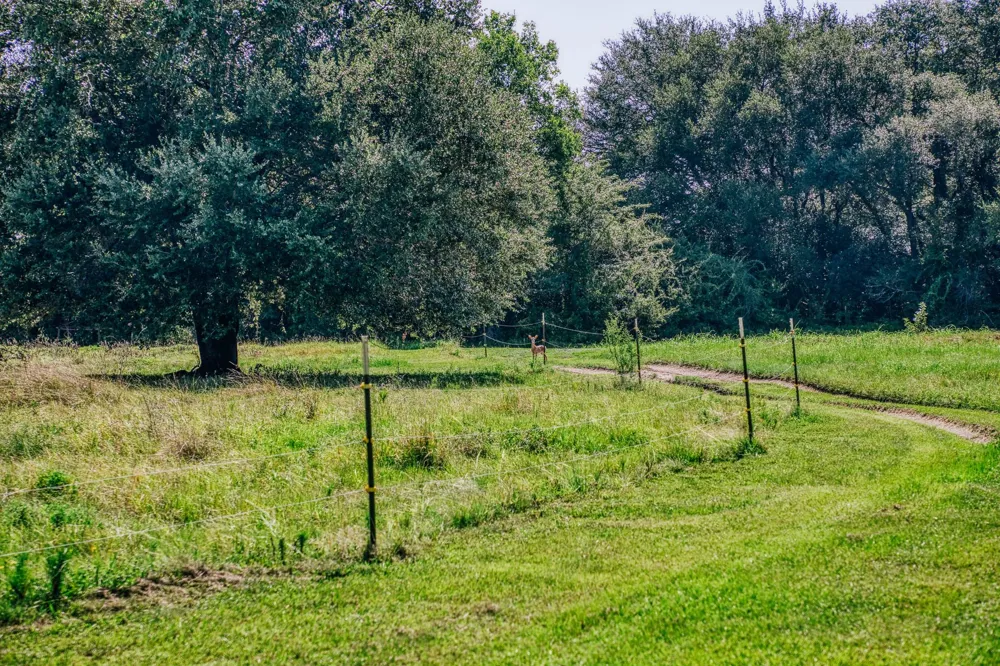 10671 Hidalgo Falls Rd Washington, TX 77880