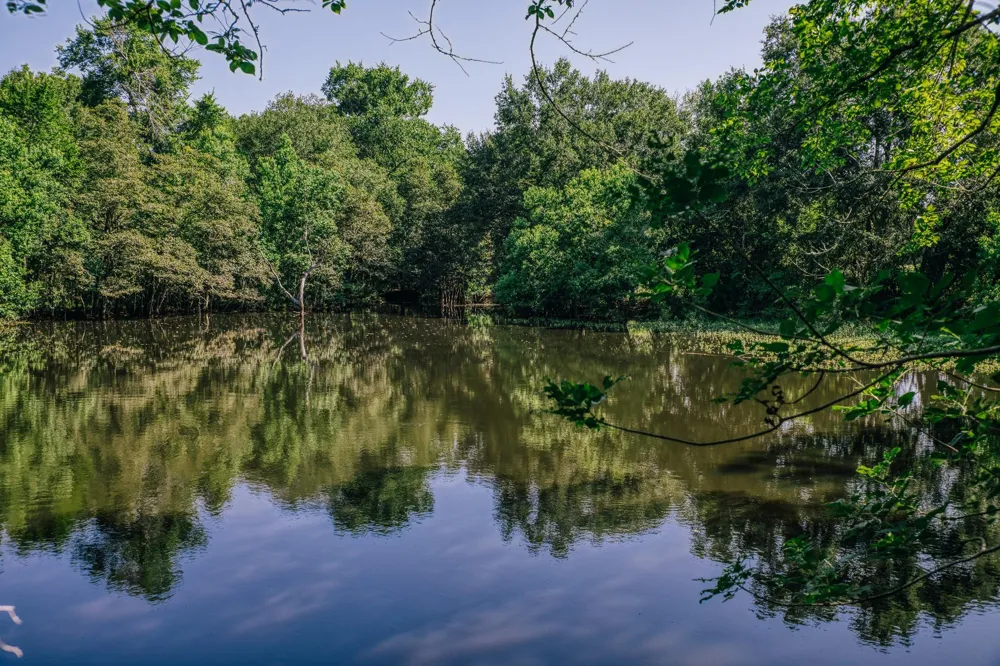 10671 Hidalgo Falls Rd Washington, TX 77880