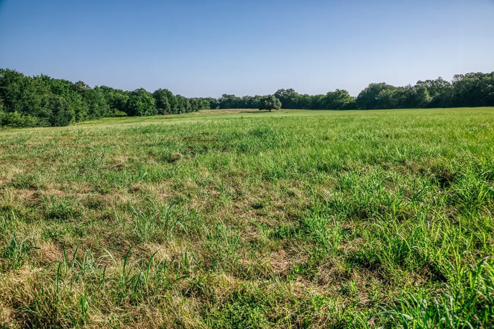 10671 Hidalgo Falls Rd Washington, TX 77880