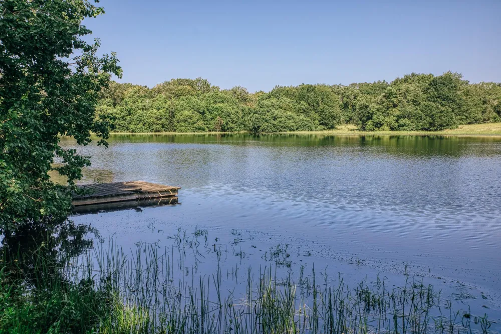 10671 Hidalgo Falls Rd Washington, TX 77880