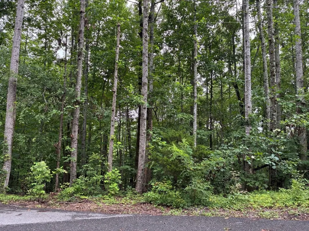 4672 Heath Road Nashville, TN 37221