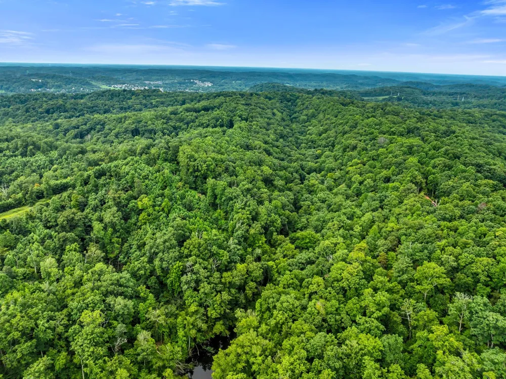4672 Heath Road Nashville, TN 37221