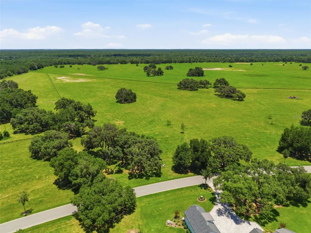 TBD (Lot 14-W) SW 138TH LOOP Dunnellon, FL 34432