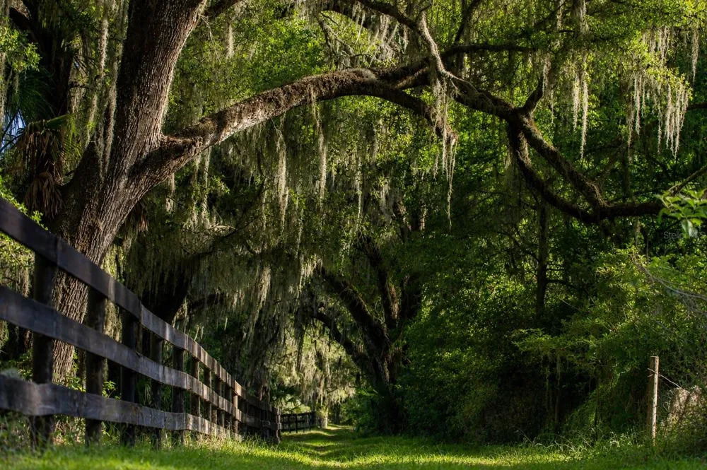 TBD (Lot 14-W) SW 138TH LOOP Dunnellon, FL 34432