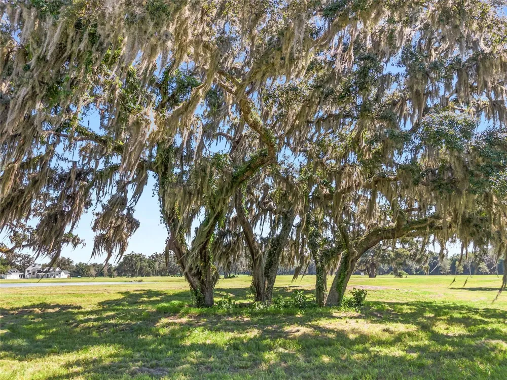 TBD (Lot 14-W) SW 138TH LOOP Dunnellon, FL 34432