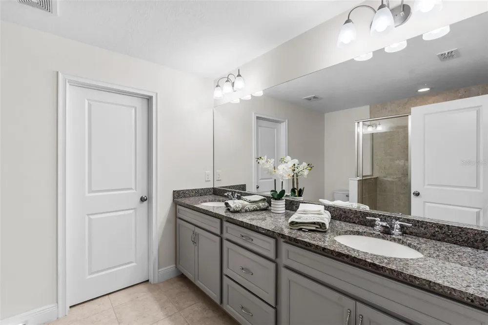14221 PONDHAWK LANE Tampa, FL 33625