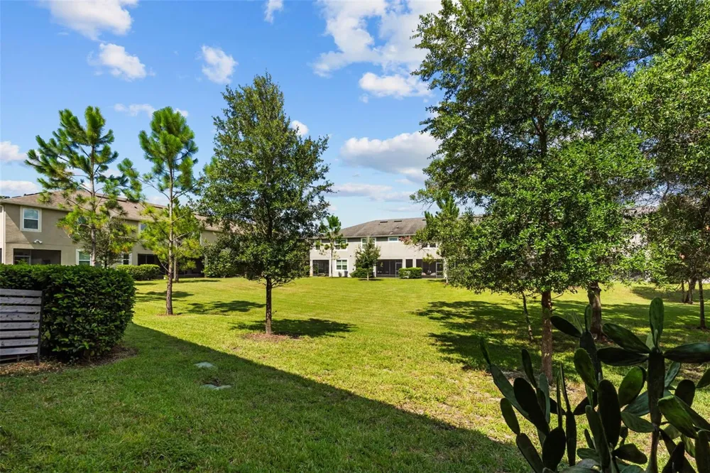 14221 PONDHAWK LANE Tampa, FL 33625